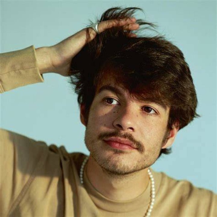 Rex Orange County Biography
